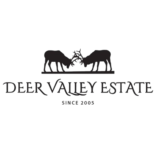 DV logo